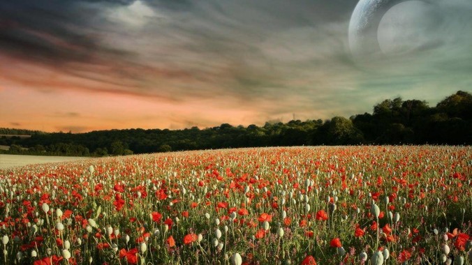 有哪些开源web应用漏洞扫描工具？